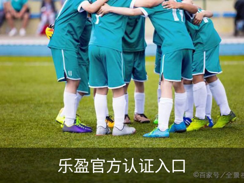 乐盈官方认证入口简介